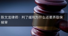 陈文龙律师：判了缓刑为什么还要弄取保候审