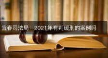 宜春司法局：2021年有判缓刑的案例吗