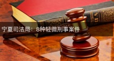 宁夏司法局：8种轻微刑事案件