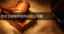 农村土地租赁合同纠纷上诉案