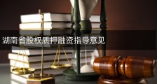 湖南省股权质押融资指导意见