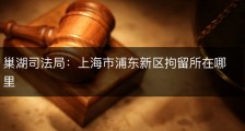 巢湖司法局：上海市浦东新区拘留所在哪里