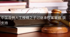 中国首例人工授精之子讨继承权案审结 获支持