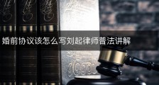 婚前协议该怎么写刘起律师普法讲解