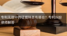 专利无效中的证据种类有哪些？专利纠纷律师解答