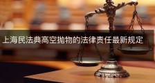 上海民法典高空抛物的法律责任最新规定