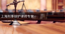 上海刑事辩护律师专家