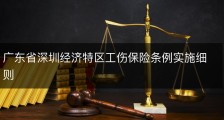 广东省深圳经济特区工伤保险条例实施细则