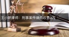 王小明律师：刑事案件律师收费3万