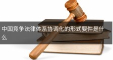 中国竞争法律体系协调化的形式要件是什么