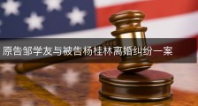 原告邹学友与被告杨桂林离婚纠纷一案
