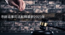 寻衅滋事司法解释最新2023年
