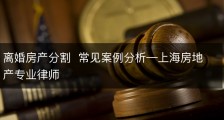 离婚房产分割  常见案例分析—上海房地产专业律师